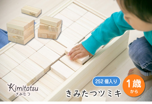 きみたつツミキ 木のおもちゃ 知育玩具 | 252個入り 1才から 遊び 木製 型はめ パズル ブロック 積木 積み木 つみき 出産祝い 幼児 ギフト オモチャ 誕生日 子供 こども 小学生 女の子 男の子 入学 入園 木工玩具 お祝い 贈り物 脳トレ kmt008-2