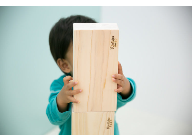 きみたつレンガ 木のおもちゃ 知育玩具 | 1才から 遊び 木製 型はめ パズル ブロック 積木 積み木 つみき 出産祝い 幼児 ギフト オモチャ 誕生日 子供 こども 小学生 女の子 男の子 入学 入園 木工玩具 お祝い 贈り物 脳トレ kmt007