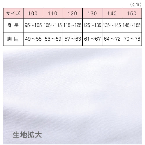 体操着 体操服 運動着 丸首 半そで Tシャツ|#285| 100cm 110cm 120cm 130cm 140cm 150cm | 選べる11色 ネームタグ付き キッズ 園児 幼稚園 保育園 小学生 学校 体育 運動会 散歩 子どもUDK ラビットアース 宇高 うだか  |2点までメール便可